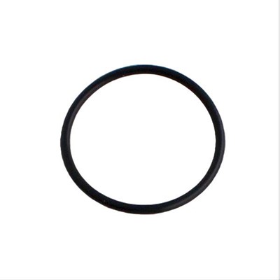 Bild von O-Ring gross zu Kondensatabscheider