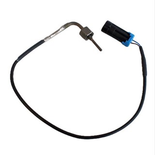 Bild von Temperatur Sensor ECU