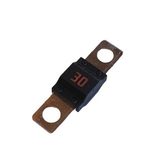 Bild von Sicherung MIDI 30A